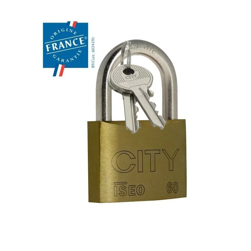 Cadenas ISEO CITY 45 mm - Laiton et anse acier - 2 clés - 2052201