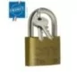 Cadenas ISEO CITY 45 mm - Laiton et anse acier - 2 clés - 2052201