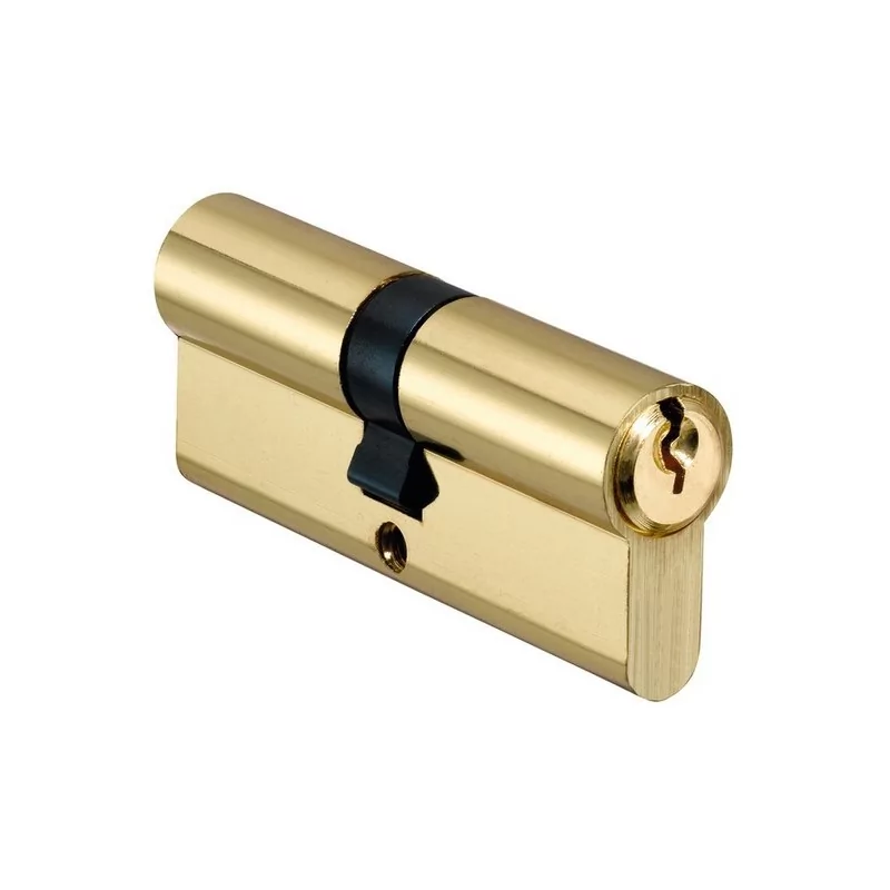Cylindre laitonné 80 mm (40x40) V5x40 série C 3601659748649 IFAM - 674864