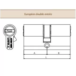 Cylindre TESA TX80 40x40mm VD nickelé - 5 clés anticrochetage - TX854040N