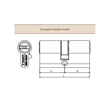 Cylindre TESA TX80 40x40mm VD nickelé - 5 clés anticrochetage - TX854040N