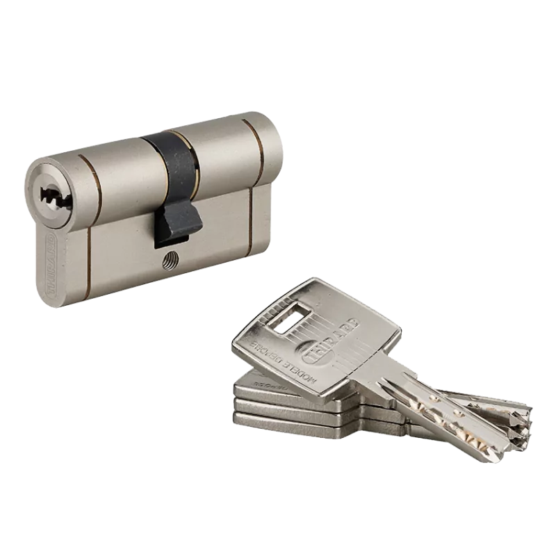 Demi-cylindre Transit THIRARD - Profil européen - 30x10 mm - 4 clés - 018739