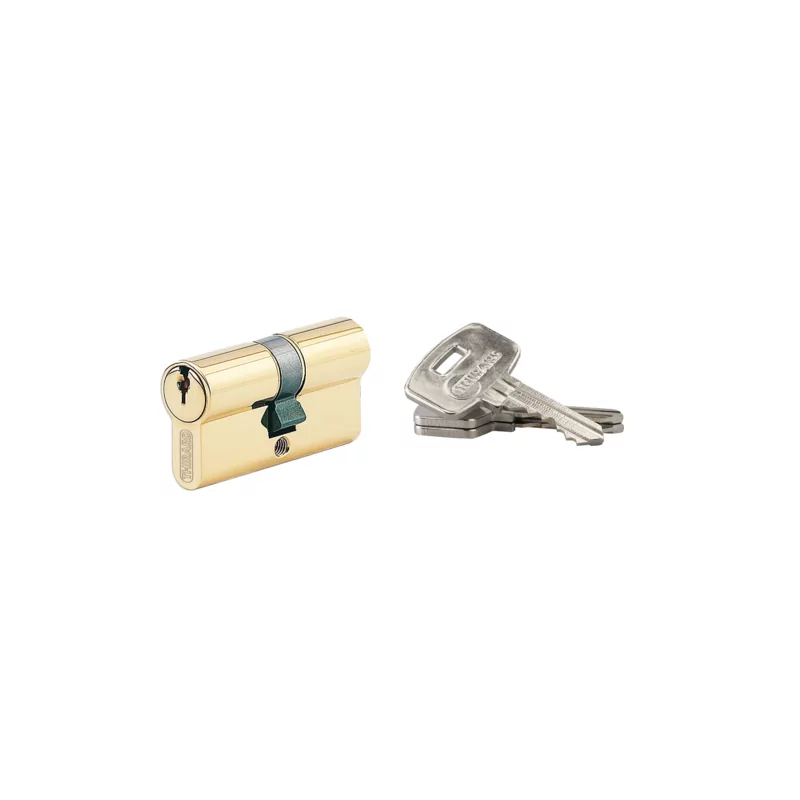Cylindre HG6 35x55 THIRARD - Laiton sur passe EDF - PE063555